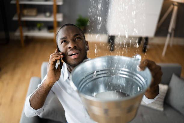 Best 24-hour water damage restoration  in Howard City, MI