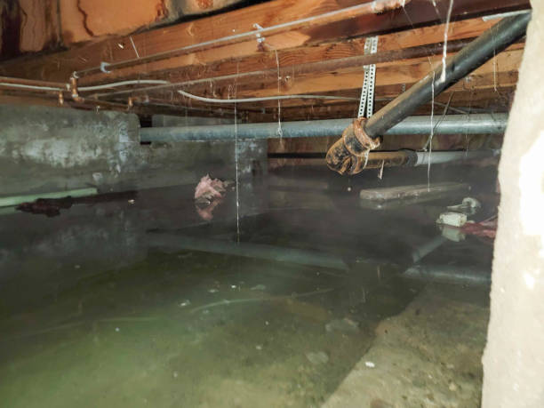 Best Fire Damage Restoration  in Howard City, MI