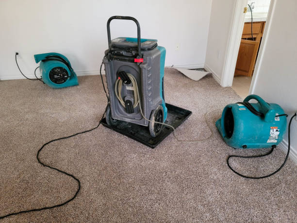 Best Residential water damage restoration  in Howard City, MI