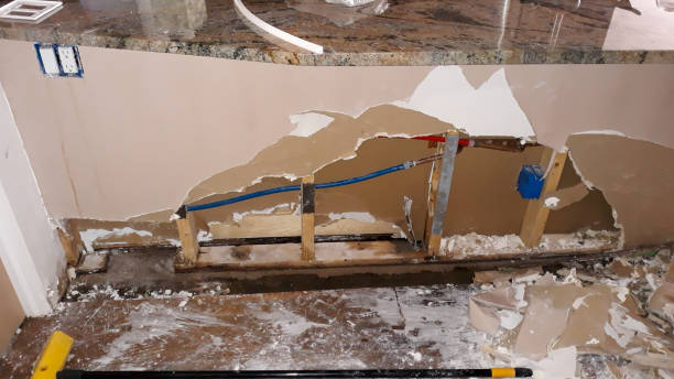 Best Sewage cleanup and water damage restoration  in Howard City, MI