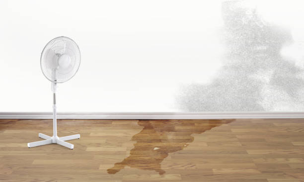 Best 24/7 water damage repair  in Howard City, MI