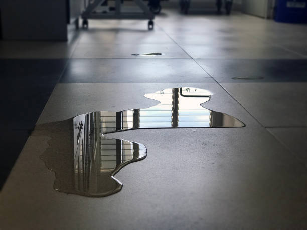 Best Water damage restoration near me  in Howard City, MI