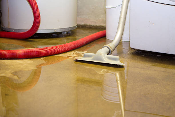 Best Water damage cleanup near me  in Howard City, MI