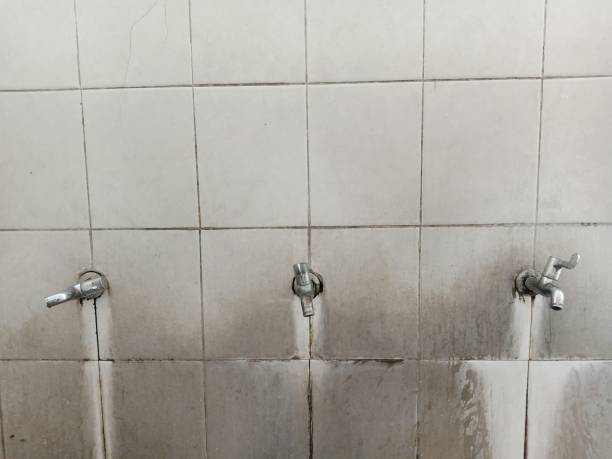 Best Carpet water damage restoration  in Howard City, MI