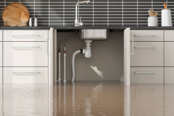 Best Ceiling water damage repair  in Howard City, MI